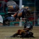 Strategi Menang di S128S yang Jarang Diketahui Pemula