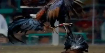 Strategi Menang di S128S yang Jarang Diketahui Pemula